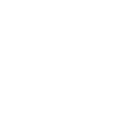 Product Listing & Catalog Optimization