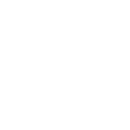 Website & CRM Development